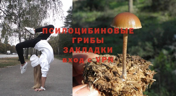 a pvp Горнозаводск