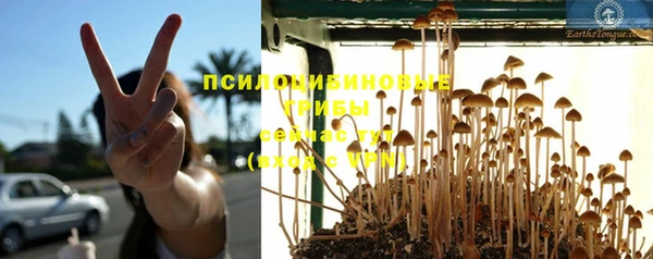 бутик Горняк