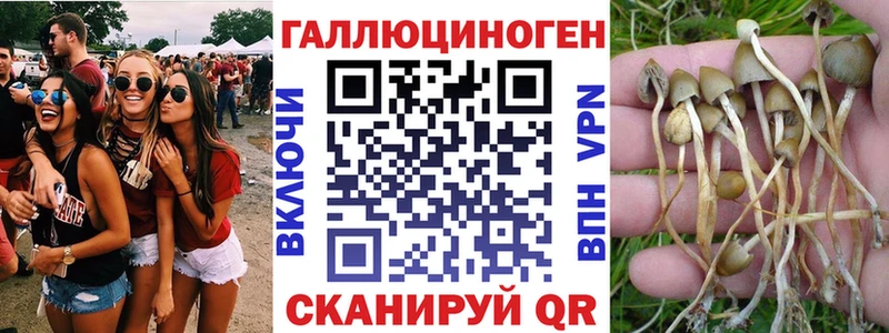 сайты даркнета клад  ссылка на мегу онион  Меленки  Псилоцибиновые грибы Cubensis 