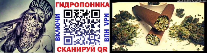 Канабис марихуана Меленки